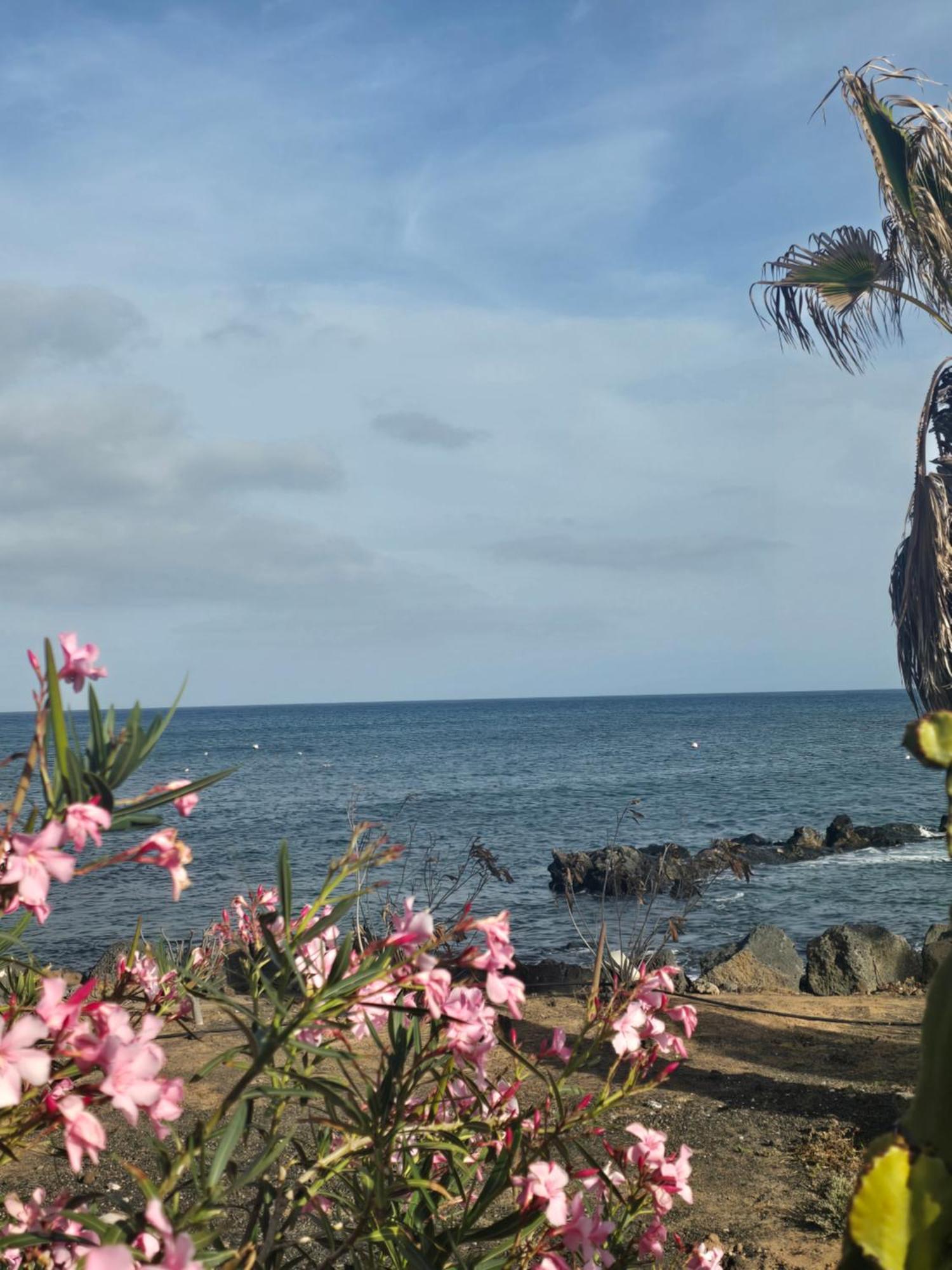 Punta Mujeres Casa Leivaヴィラ エクステリア 写真